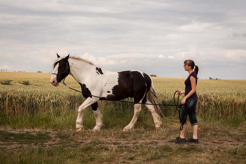 Heilpraktikerin für Psychotherapie Maria Hering in der Selbsterfahrung mit einem Pferd.